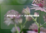 体育新闻cctv 5CCTV 5的体育新闻报道