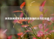 体育新闻搜狐体育体育新闻的全方位报道