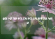 最新体育新闻欧冠足球欧冠足球赛事综述与展望