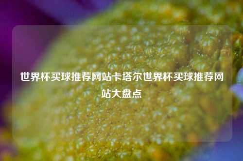 世界杯买球推荐网站卡塔尔世界杯买球推荐网站大盘点