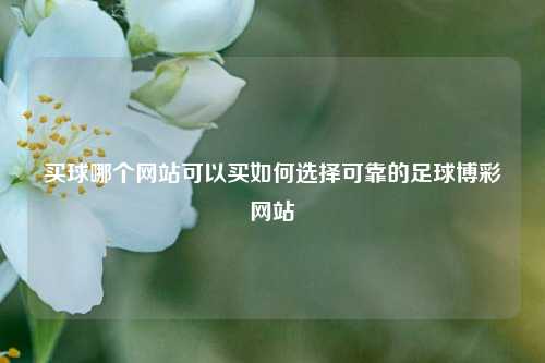 买球哪个网站可以买如何选择可靠的足球博彩网站