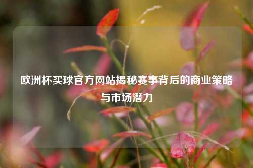 欧洲杯买球官方网站揭秘赛事背后的商业策略与市场潜力