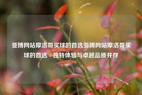 亚博网站摩洛哥买球的首选亚博网站摩洛哥买球的首选 - 独特体验与卓越品质并存